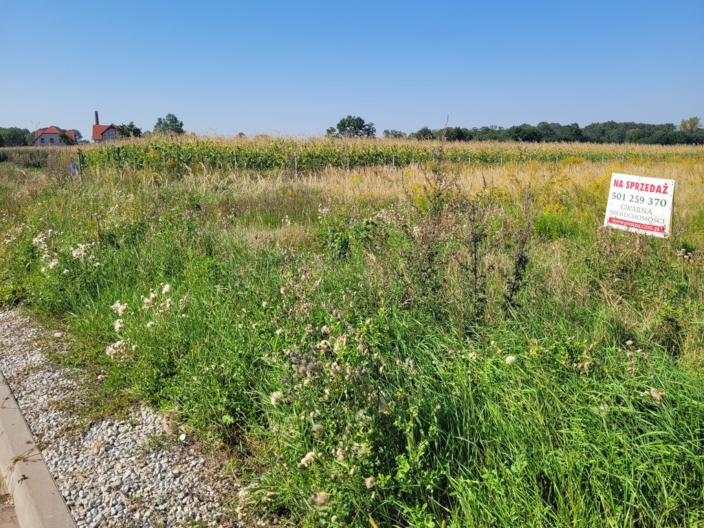 Działka Sprzedaż Borów