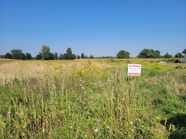 Działka Sprzedaż Borów 8