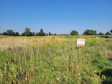 Działka Sprzedaż Borów