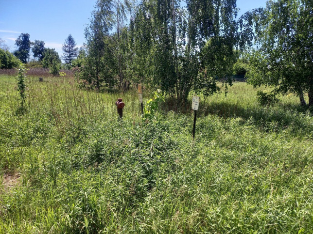 Działka Sprzedaż Byków 3