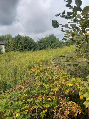 Działka Sprzedaż Byków 4