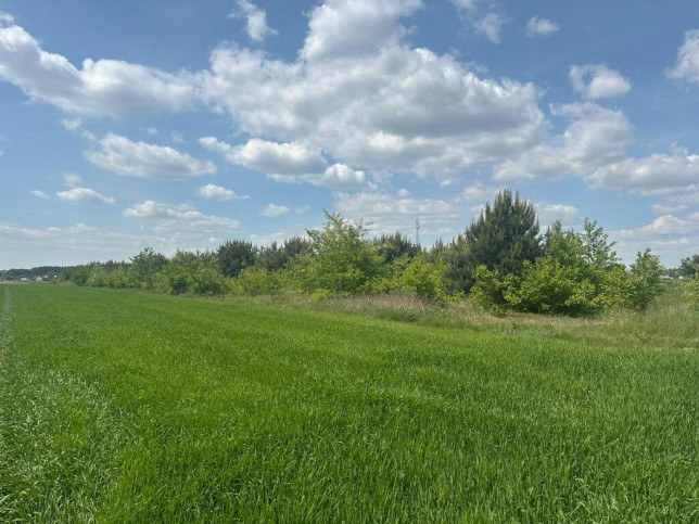 Działka Sprzedaż Krzeczyn 2