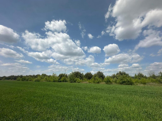 Działka Sprzedaż Krzeczyn 4