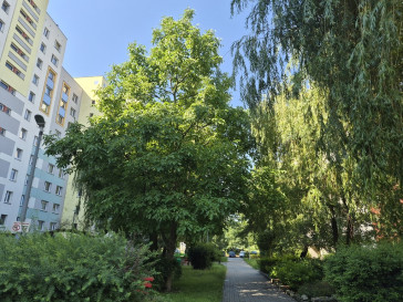 Mieszkanie Sprzedaż Wrocław Wrocław-Fabryczna Jerzego Bajana