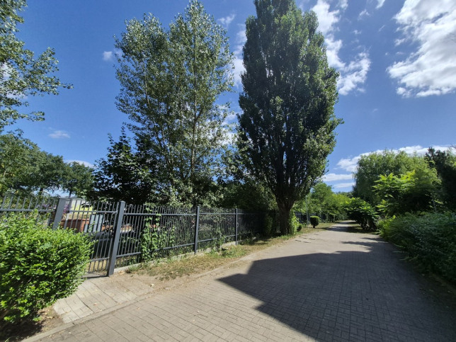 Mieszkanie Wynajem Wrocław Wrocław-Śródmieście Artura Młodnickiego 28