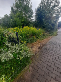 Działka Sprzedaż Sadowice