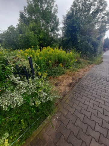 Działka Sprzedaż Sadowice 5