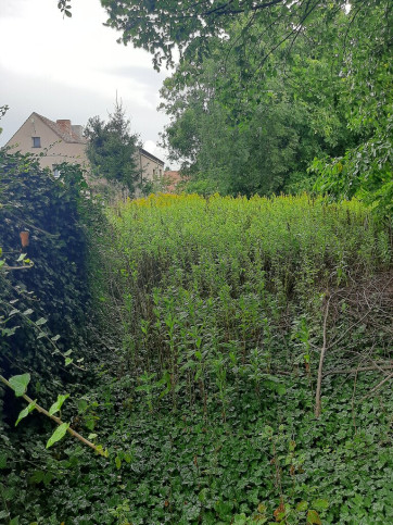 Działka Sprzedaż Sadowice 8