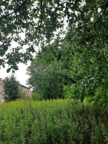 Działka Sprzedaż Sadowice 9