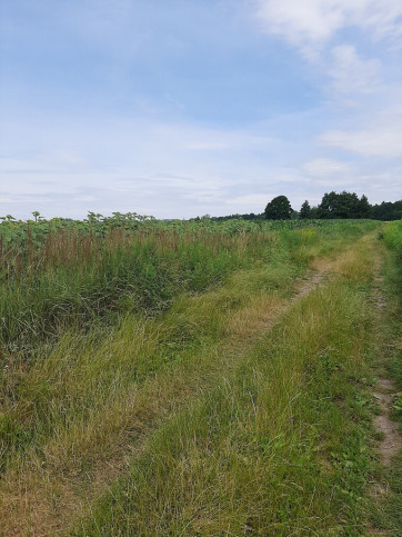 Działka Sprzedaż Krzyków 3